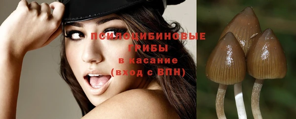 прущие крисы Абдулино