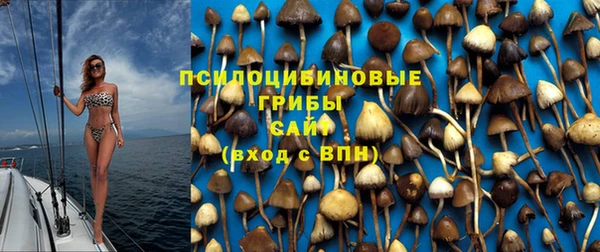 прущие крисы Абдулино