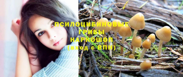 эйфоретик Новодвинск